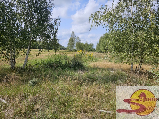 Działka Sprzedaż Ryków 1