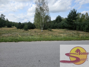 Działka Sprzedaż Ryków