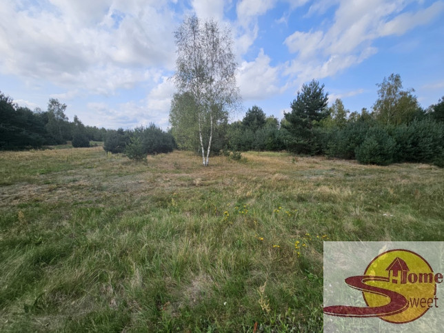 Działka Sprzedaż Ryków 4