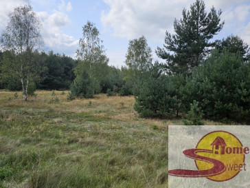 Działka Sprzedaż Ryków