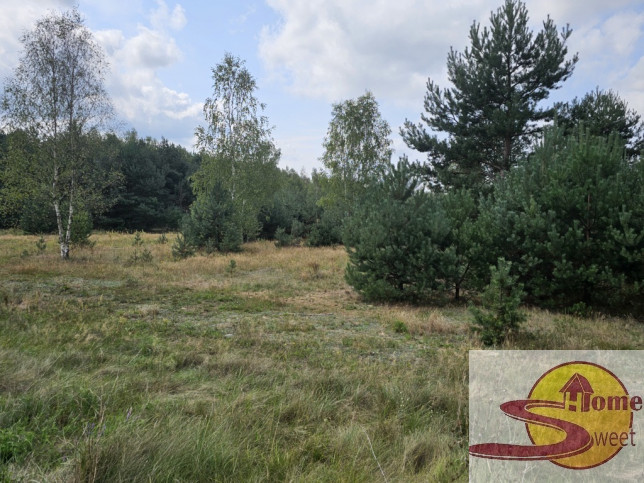 Działka Sprzedaż Ryków 8