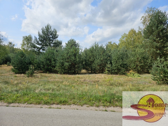 Działka Sprzedaż Ryków 10