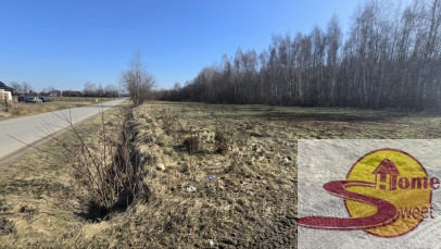 Działka Sprzedaż Kaszewska Wola