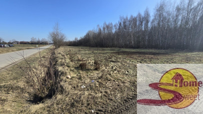 Działka Sprzedaż Kaszewska Wola