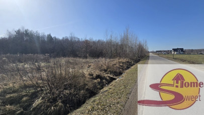 Działka Sprzedaż Kaszewska Wola