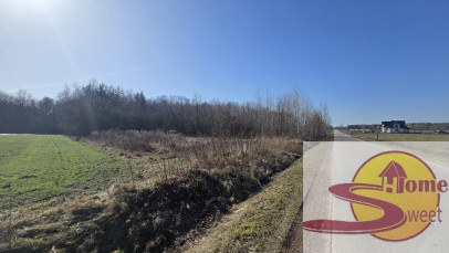 Działka Sprzedaż Kaszewska Wola