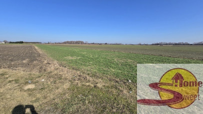 Działka Sprzedaż Kaszewska Wola