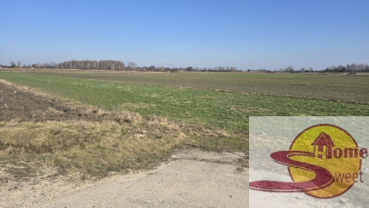 Działka Sprzedaż Kaszewska Wola