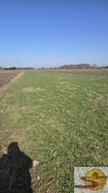 Działka Sprzedaż Kaszewska Wola