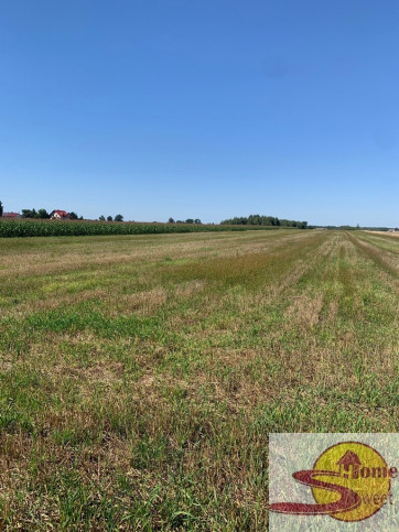 Działka Sprzedaż Przyłęk 6
