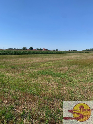 Działka Sprzedaż Przyłęk 7