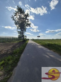 Działka Sprzedaż Krzyszkowice
