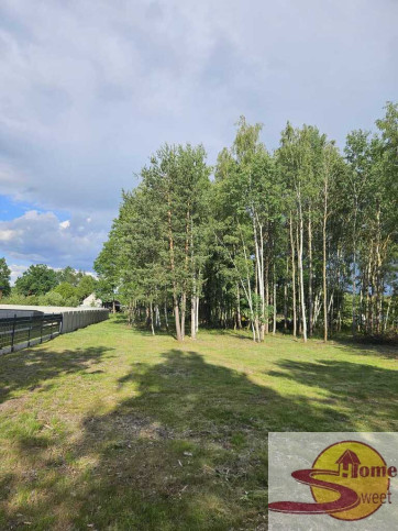 Działka Sprzedaż Wolanów 8