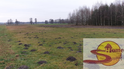 Działka Sprzedaż Ostrownica