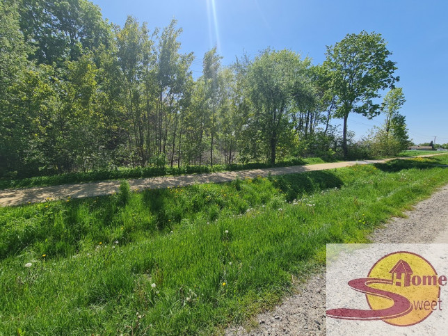 Działka Sprzedaż Mieczysławów 6