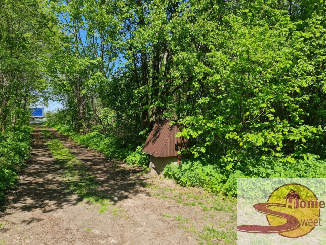 Działka Sprzedaż Mieczysławów 4