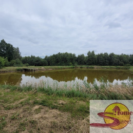 Działka Sprzedaż Wolanów