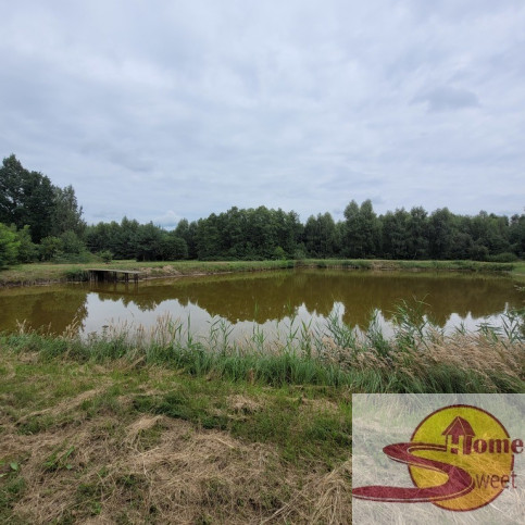 Działka Sprzedaż Wolanów 8