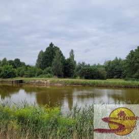Działka Sprzedaż Wolanów