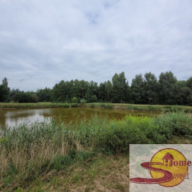 Działka Sprzedaż Wolanów